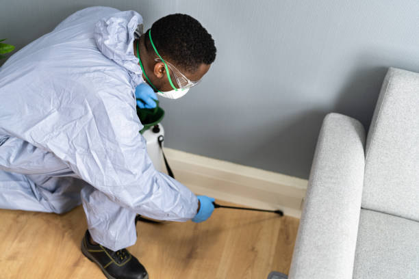 Best Pest Control for Multi-Family Homes  in Hamtramck, MI